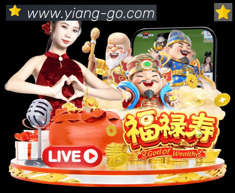 对战数据统计